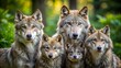 © Danicha - Grey Wolf Family Tree Portrait Photography: Majestic Pack, Wild Canids, Alpha Pair, Wolf Cubs, Ancestry Chart, Wildlife Photography, Nature Portrait