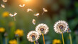 © zhor - Dandelion Wishes - Dandelion seeds floating in the air carried by the wind as people make wishes. background copyspace