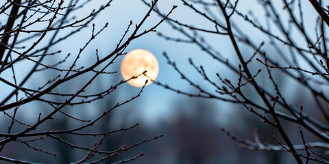 Wall Mural - Bare Winter Branches Framing a Full Moon - Golden bokeh accents the scene. backdrop background digital art crisp oilpinting minimalist sharp details funny background copyspace