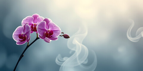 Wall Mural - Orchid Mist - Mystical orchids blooming in a gentle fog creating a dreamy atmosphere. backdrop background digital art crisp oilpinting minimalist sharp details funny background copyspace