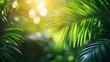 © Andrii Savchuk - Green tropical leaves illuminated by soft sunlight