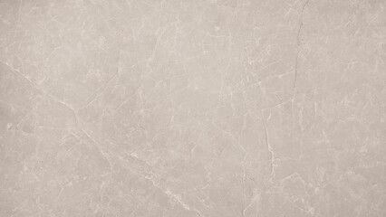 Wall Mural - image presenting a close-up view of a slab or tile of light grey marble, showcasing its natural veining patterns and smooth, polished surface, suitable for use as a background design projects.