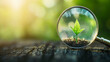© Fareedoh - Young plant through magnifying glass on wooden surface.