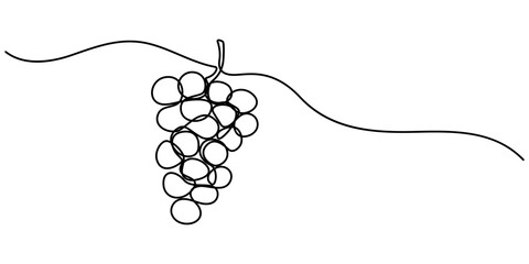 Fototapete - Continuous Line Drawing Of Grapes On A Transparent background, One line drawing grape fruits. Single outline organic nature food, Grape drawn in one continuous line. One line drawing, minimalism. 