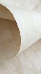 Leinwandbilder - High-quality smooth parchment texture with subtle creases and warm tones ideal for creative projects and artistic endeavors