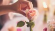 © Mykhailo - Delicate hands gently holding and inspecting a single rose, surrounded by scattered petals on a softly lit table, creating a romantic and intimate atmosphere with a dreamy, elegant focus.