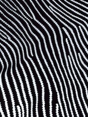 Fototapete - This striking image showcases a series of flowing, wavy black and white lines that create an intriguing visual rhythm and depth, capturing attention with simplicity and elegance.