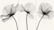 © Alexander Chaykin - Elegant Dried Flower Prints