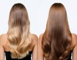 © Dina - closeup before after caucasian hair type back view isolated on white background before after straight long light brown healthy clean hairstyle wavy curly iron curled shampoo concept nature beauty