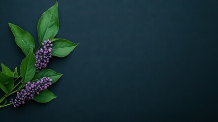 Wall Mural -   Purple flowers on green leaves against a dark blue background, perfect for text placement