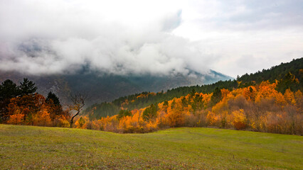 Wall Mural - Autumn landscape. Beautiful colors of autumn and nature. Colorful nature background.