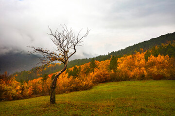 Wall Mural - Autumn landscape. Beautiful colors of autumn and nature. Colorful nature background.