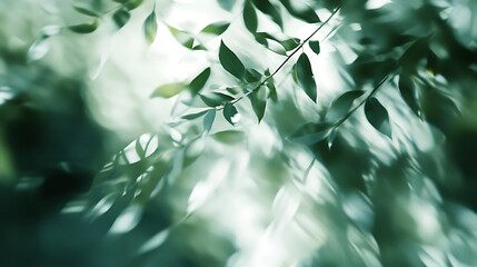 Aufkleber - Green and white background with soft light, leafy theme, blurred