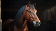 © Osadchyi_I - Brown horse looking forward in a stable with soft lighting during late afternoon