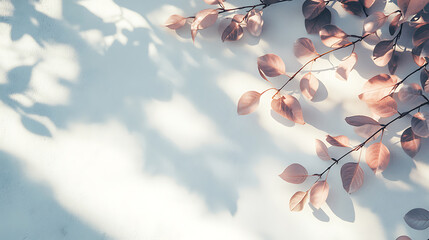 Aufkleber - Abstract plant and leaves shadow blurred background, natural leaves tree branch pink rose gold shadows and sunlight dappled on white concrete wall texture for background wallpaper and any design