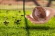 © BillionPhotos.com - Crystal earth at green nature background