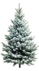 Poster - Snow-covered christmas tree on transparent background, ideal for winter holiday designs