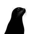 © creative - Black and white seal silhouette.