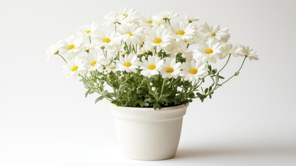 Wall Mural - Beautiful White Daisies in a Simple Pot, Perfect for Home Decoration, Floral Arrangement, and Brightening up Any Interior Space