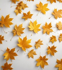 Wall Mural - Golden maple leaves scattered on a crisp white background, branch, foliage, maple