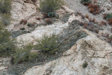 Wall Mural - San Gabriel Mountains, Los Angeles County, California. Quartz Diorite / Gray quartz diorite / Plutonic rocks. complexly intruded by dikes, sills and pods of leucogranitic rocks