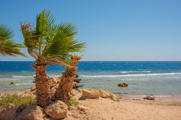 Wall Mural - beautiful views of the coast of sahl hasheesh hurghada for banner background
