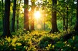 © Вера Щербакова - Forest in the sun's rays. Green Planet Earth Day or Environment Day concept. Paris Agreement concept. Ecology concept.