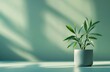 © ANZ - Green plant in pot, sunlight, minimal.
