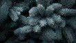 © Joyous BG - Close-up of christmas tree background