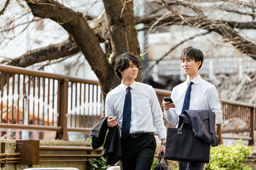 Poster - 桜の緑道をスマートフォンを持って並んで会話しながら歩く若い2人のビジネスマンの男性