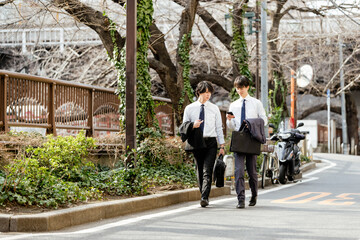 Poster - 街路樹のある緑道をスマートフォンを見ながら並んで会話しながら歩く若い2人のビジネスマンの男性