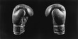 © Alexandr - Boxing Gloves Black Background