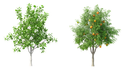 Sticker - trees with fruits collections on white background PNG.AI GENERATED