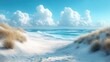 © Ali - Serene beach scene:  white sand, blue ocean, sunny sky.