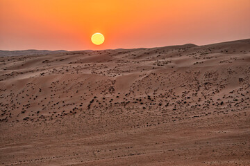 Wall Mural - Wahiba Desert, Oman.  Golden sand dunes. Summer travel and tourism