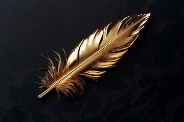 Wall Mural - A single golden feather on a textured charcoal background.