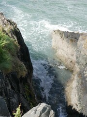 Wall Mural - Seashore cliffs with foamy waves and greenery