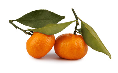 Wall Mural - Two ripe tangerines with a leaf and a twig isolated on a white background. Ripe mandarine.