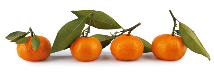 Wall Mural - ripe tangerines with a leaf and a twig isolated on a white background. Ripe mandarine.