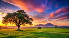Color Sky Tree Sunset Colors In The Sky With Trees Free Stock Photo - Public Domain ...