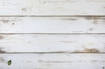 Leinwandbilder - White aged wood planks with leaf detail.