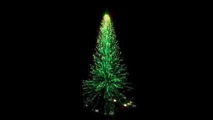 Wall Mural - Magic Christmas Tree Grow Opener Motion Graphics Element