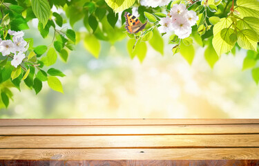 Poster - Spring beautiful background with green juicy young foliage of flowering trees, butterfly and empty wooden table in nature outdoors.