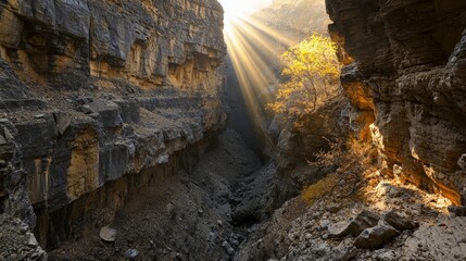 Wall Mural - Golden sunlight filtering through a narrow canyon nature photography serene landscape captivating viewpoint
