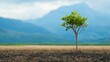 © Beauver - A Sapling's Promise: A solitary sapling thrives in the fertile soil of a vast, open landscape, its vibrant greenery contrasting against a backdrop of distant, misty mountains.
