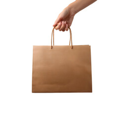 Wall Mural - isolated woman hand holding paper shopping bag