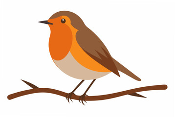 robin on a branch