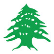 © Meduza - Lebanon cedar vector icon. Cedar tree symbol of Lebanon flag. Flat graphic illustration for national emblem, middle eastern design, and patriotic themes. Isolated on white background.