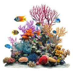 Vibrant coral reef with colorful fish, showcasing marine biodiversity and beauty. scene captures essence of underwater life with various coral species and tropical fish