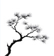 © Anuson - Pine tree branch silhouette on a white background